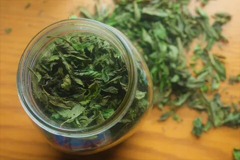 فروشندگان سبزی نعناع خشک اعلا در شیراز + خرید عمده